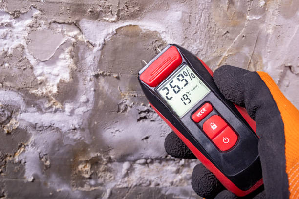 Reliable Lake Panasoffkee, FL Mold Remediation Solutions