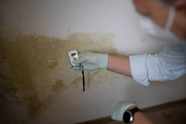 Best Mold Remediation for Specific Building Types in Lake Panasoffkee, FL